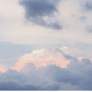 Meet your Posher, Abigail